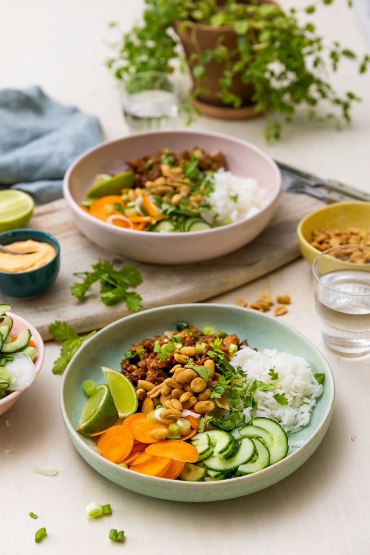 Teriyakistekt vegetardeig med jasminris, agurk, chilimajones og peanøtter